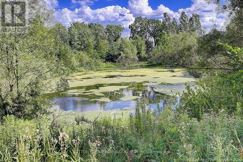 4 Castleglen Boulevard, Markham, ON - Outdoor With View