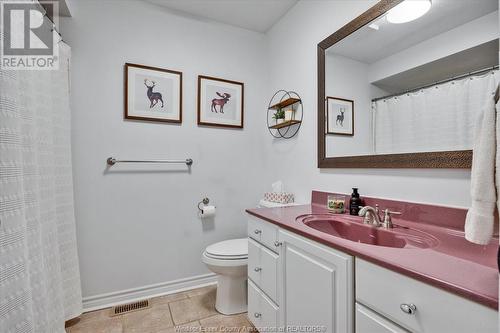 12830 St. Gregory'S Road, Tecumseh, ON - Indoor Photo Showing Bathroom