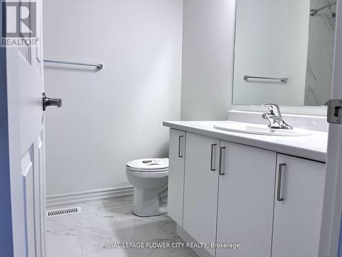 184 Elliot Avenue W, Centre Wellington, ON - Indoor Photo Showing Bathroom