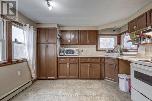 20 Second Street, Norfolk (Delhi), ON - Indoor Photo Showing Kitchen With Double Sink