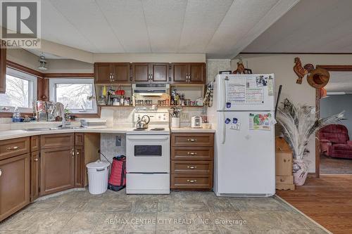 20 Second Street, Norfolk (Delhi), ON - Indoor Photo Showing Kitchen With Double Sink