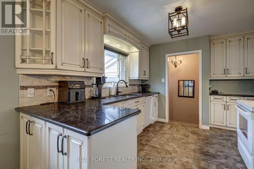 157 Victoria Street N, Woodstock (Woodstock - North), ON - Indoor Photo Showing Kitchen With Double Sink