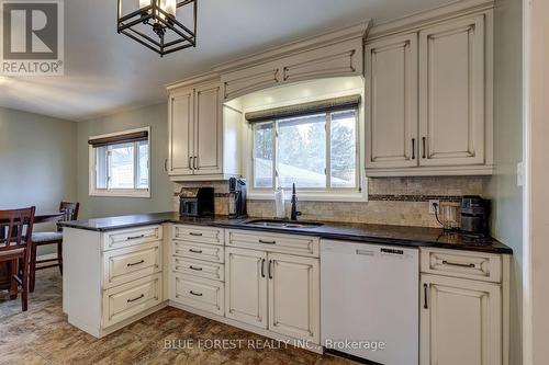 157 Victoria Street N, Woodstock (Woodstock - North), ON - Indoor Photo Showing Kitchen With Double Sink