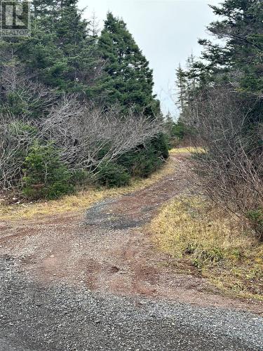 79 Markland Road, Creston South, NL - Outdoor With View