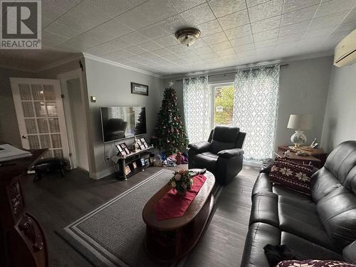 79 Markland Road, Creston South, NL - Indoor Photo Showing Living Room