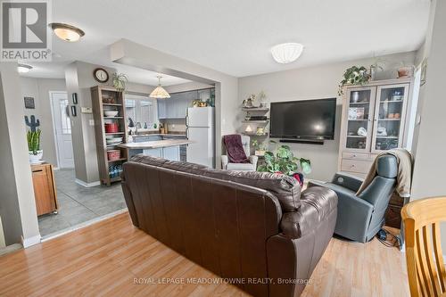 17 Emslie Street, Halton Hills, ON - Indoor Photo Showing Living Room