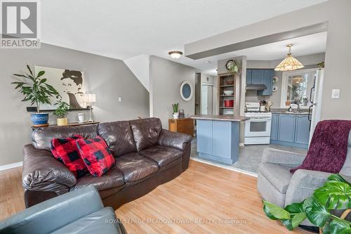 17 Emslie Street, Halton Hills, ON - Indoor Photo Showing Living Room