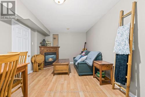 17 Emslie Street, Halton Hills, ON - Indoor With Fireplace