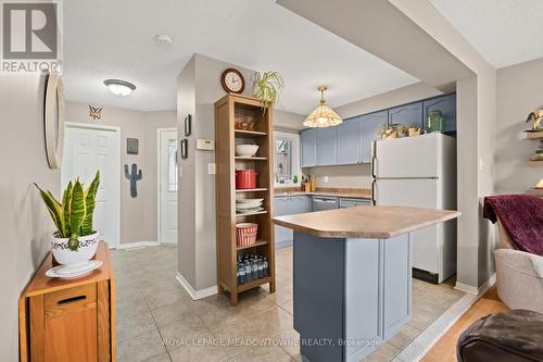 17 Emslie Street, Halton Hills, ON - Indoor Photo Showing Kitchen