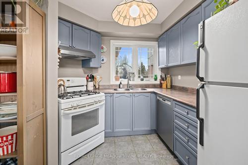 17 Emslie Street, Halton Hills, ON - Indoor Photo Showing Kitchen With Double Sink