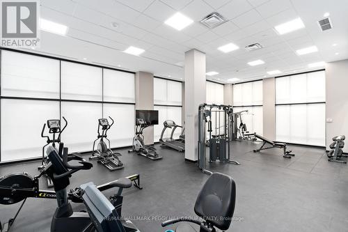 502 - 681 Yonge Street, Barrie, ON - Indoor Photo Showing Gym Room