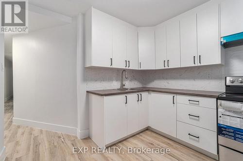 4 - 448 Cambridge Street S, Ottawa, ON - Indoor Photo Showing Kitchen