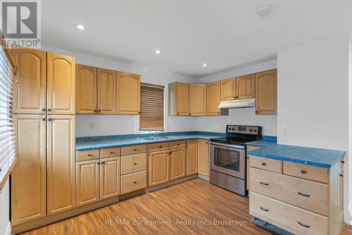 253 Russell Avenue, St. Catharines (451 - Downtown), ON - Indoor Photo Showing Kitchen With Double Sink