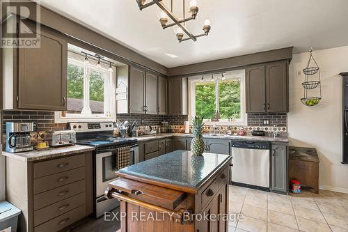 1037 Kernohan Farm Trail, Minden Hills, ON - Indoor Photo Showing Kitchen With Stainless Steel Kitchen With Double Sink