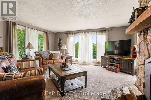 1037 Kernohan Farm Trail, Minden Hills, ON - Indoor Photo Showing Living Room