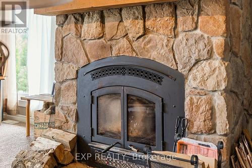 1037 Kernohan Farm Trail, Minden Hills, ON - Indoor Photo Showing Living Room With Fireplace