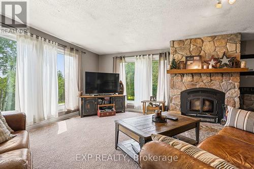 1037 Kernohan Farm Trail, Minden Hills, ON - Indoor Photo Showing Living Room With Fireplace