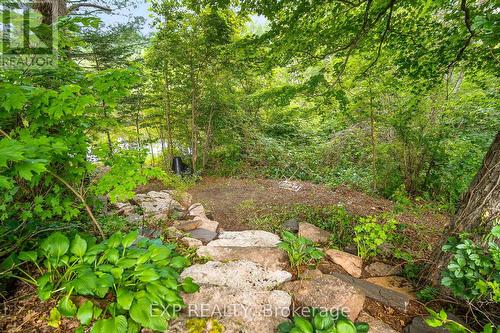 1037 Kernohan Farm Trail, Minden Hills, ON - Outdoor