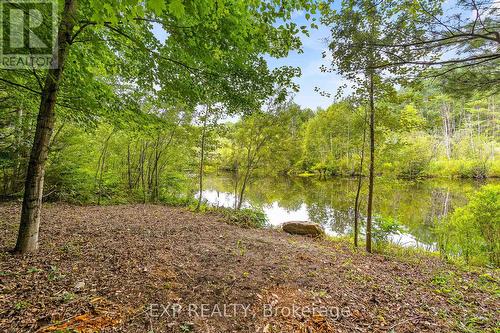 1037 Kernohan Farm Trail, Minden Hills, ON - Outdoor With View