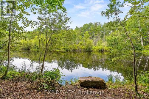 1037 Kernohan Farm Trail, Minden Hills, ON - Outdoor With View