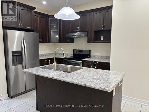 6 Kempsford Crescent, Brampton, ON - Indoor Photo Showing Kitchen With Double Sink With Upgraded Kitchen