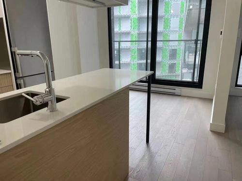 Living room - 421-1550 Rue Des Bassins, Montréal (Le Sud-Ouest), QC - Indoor Photo Showing Kitchen With Double Sink