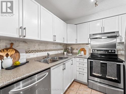 216 - 684 Warden Avenue, Toronto, ON - Indoor Photo Showing Kitchen With Double Sink