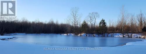 50672 Green Road, Wainfleet (879 - Marshville/Winger), ON - Outdoor With View