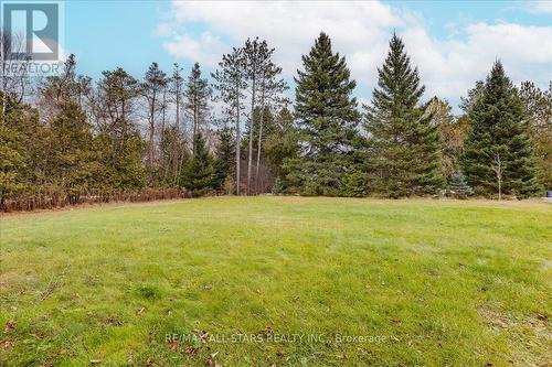 38 Minonen Road, Georgina, ON - Outdoor With View