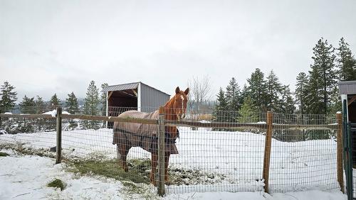 3888 Salmon River Road, Falkland, BC - Outdoor