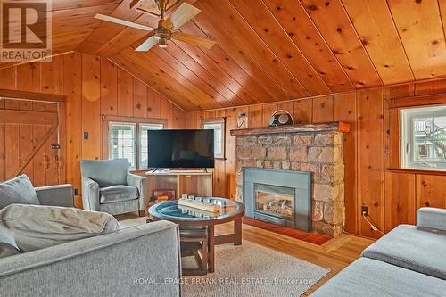 798 Simcoe Street, Smith-Ennismore-Lakefield, ON - Indoor Photo Showing Living Room With Fireplace