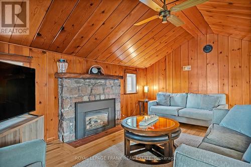 798 Simcoe Street, Smith-Ennismore-Lakefield, ON - Indoor Photo Showing Living Room With Fireplace