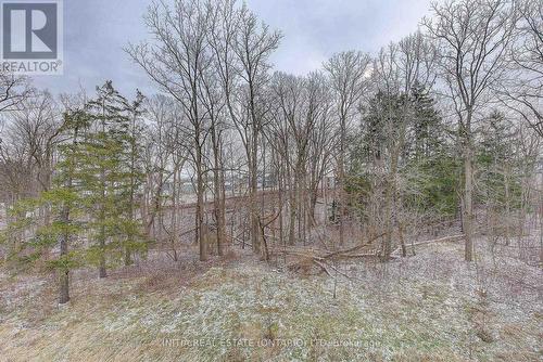 33 - 990 Deveron Crescent, London, ON - Outdoor With View