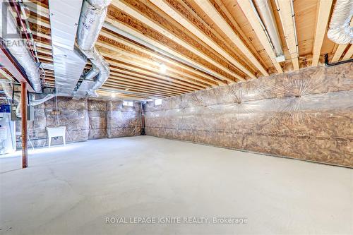 94 Elmhurst Street, Scugog, ON - Indoor Photo Showing Basement