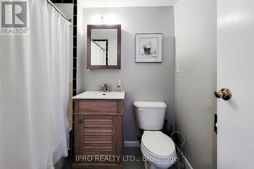 133 William Street, Brantford, ON - Indoor Photo Showing Bathroom