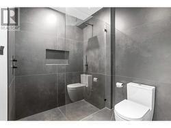 Lower level bathroom - 