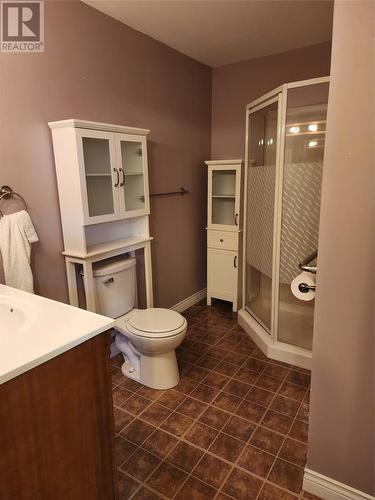 41 Maxwell Place, St. John'S, NL - Indoor Photo Showing Bathroom