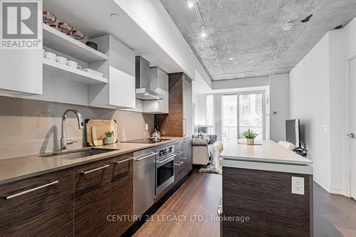 308 - 1030 King Street W, Toronto, ON - Indoor Photo Showing Kitchen With Upgraded Kitchen