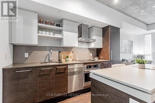 308 - 1030 King Street W, Toronto, ON - Indoor Photo Showing Kitchen