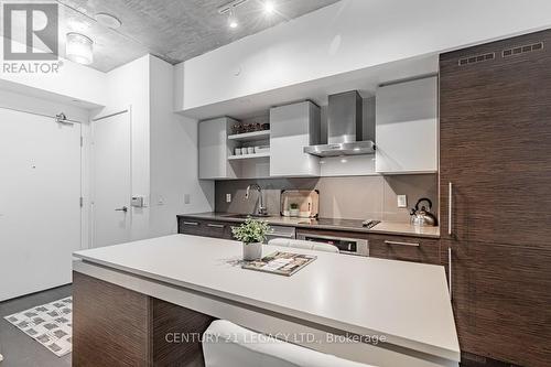 308 - 1030 King Street W, Toronto, ON - Indoor Photo Showing Kitchen