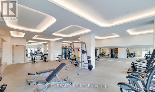 B612 - 3200 Dakota Common, Burlington, ON - Indoor Photo Showing Gym Room