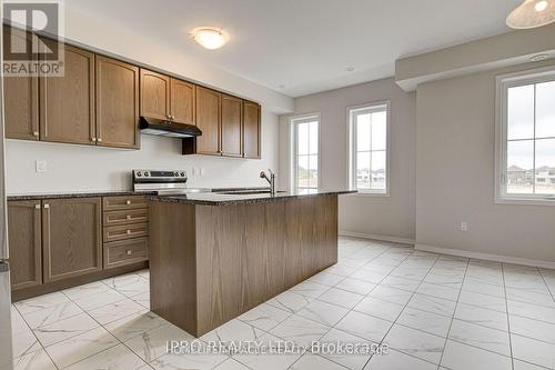 263 Gillespie Drive, Brantford, ON - Indoor Photo Showing Kitchen