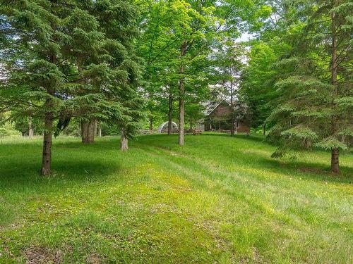 Land/Lot - 35 Rue Academy, Sutton, QC - Outdoor