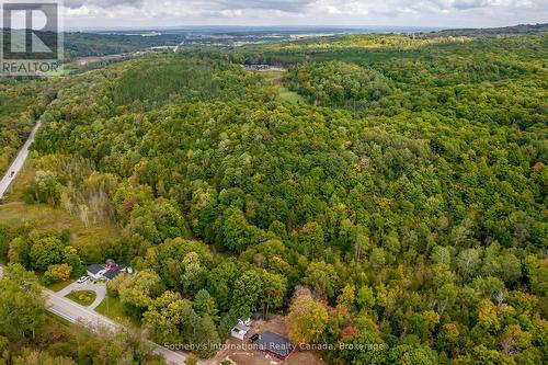 8383 9 County Road, Clearview, ON - Outdoor With View