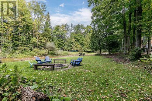 8383 9 County Road, Clearview, ON - Outdoor