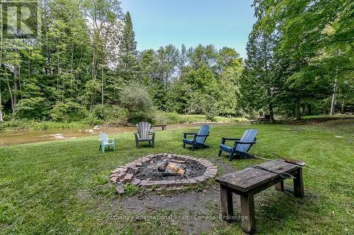 8383 9 County Road, Clearview, ON - Outdoor