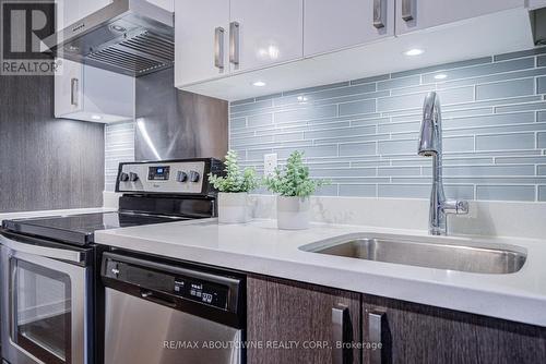 C202 - 5260 Dundas Street, Burlington, ON - Indoor Photo Showing Kitchen