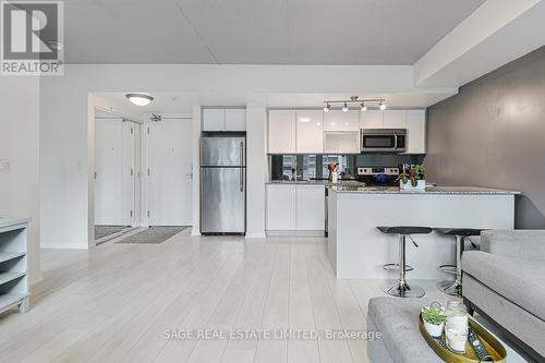 317 - 55 East Liberty Street, Toronto, ON - Indoor Photo Showing Kitchen