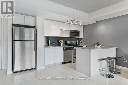 317 - 55 East Liberty Street, Toronto, ON - Indoor Photo Showing Kitchen With Stainless Steel Kitchen