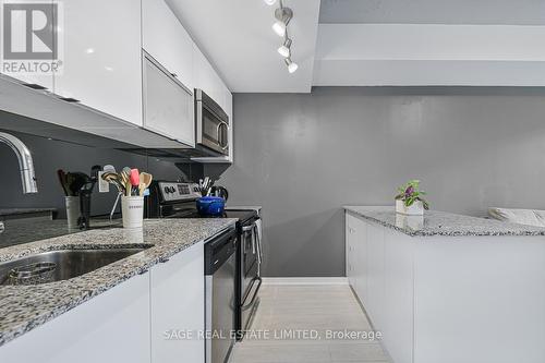 317 - 55 East Liberty Street, Toronto, ON - Indoor Photo Showing Kitchen With Double Sink